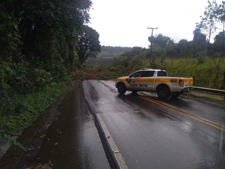 Limpeza da SC 135, trecho entre Pinheiro Preto e Tangará, está sendo feita