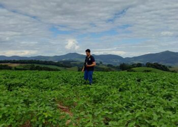 Novo engenheiro agrônomo reforça operações da CIDASC na região