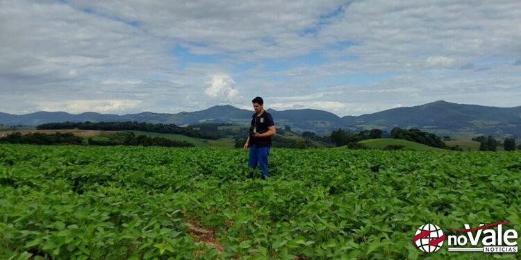 Novo engenheiro agrônomo reforça operações da CIDASC na região