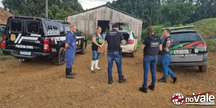 Polícia Civil e CIDASC identificam irregularidades sanitárias em rebanho e interditam propriedades em Ouro