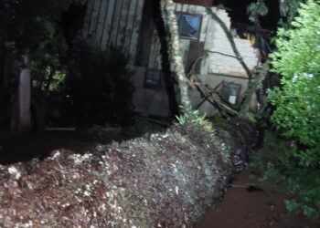 Queda de árvore atinge duas residências em Videira