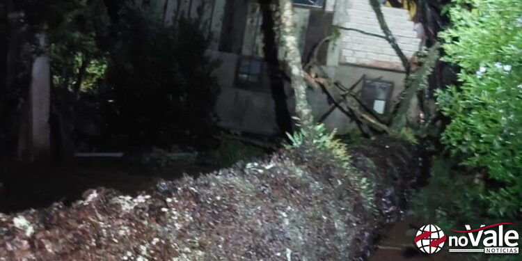 Queda de árvore atinge duas residências em Videira
