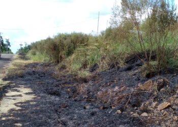 Bombeiros atendem incêndio em vegetação em Loteamento de Capinzal