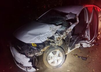 Condutor colide veículo contra animal na SC-150