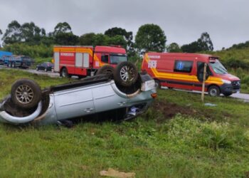 Condutor fica ferido em saída de pista na BR-470