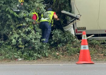 Motorista morre em colisão contra árvore as margens da BR 282
