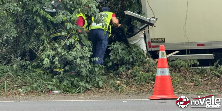 Motorista morre em colisão contra árvore as margens da BR 282