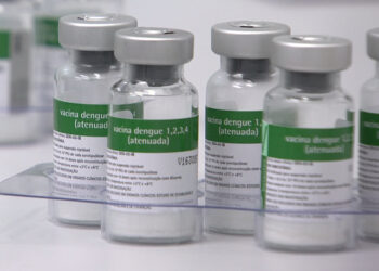 Santa Catarina recebe a primeira remessa com 29 mil doses da vacina contra a dengue