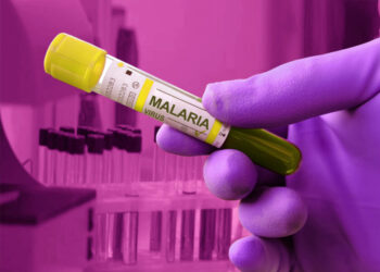 Caso importado de malária é diagnosticado em Capinzal