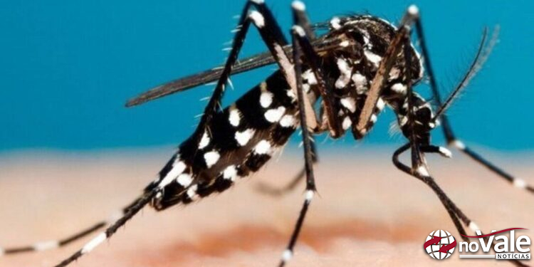 Ouro registra primeiro caso de dengue