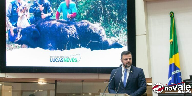 Decreto regulamenta caça do javali em Santa Catarina