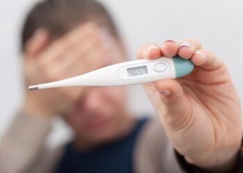 Paraná tem 5 casos de Febre Oropouche confirmados