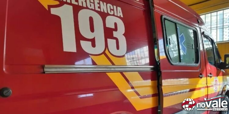 Morador de Joaçaba é vítima de atropelamento e morre na BR-282