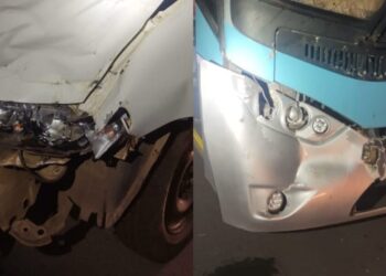 Bovinos soltos na SC-135 em Campos Novos causam acidente de trânsito