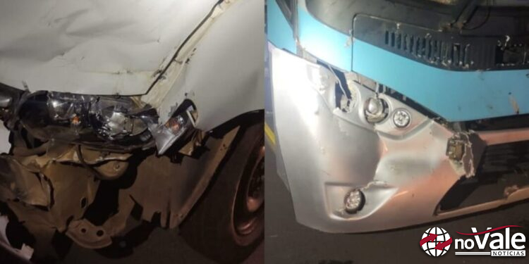 Bovinos soltos na SC-135 em Campos Novos causam acidente de trânsito