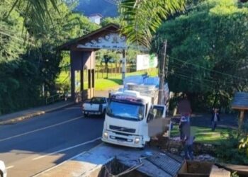 Homem e cachorro morrem atropelados por caminhão em Treze Tílias