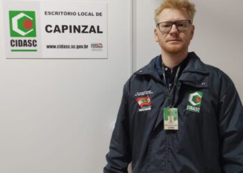 Lei altera prazos para exames de anemia infecciosa equina e mormo em Santa Catarina