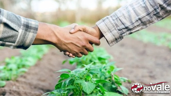 Produtores têm até 31 de maio para renegociar dívidas do crédito rural