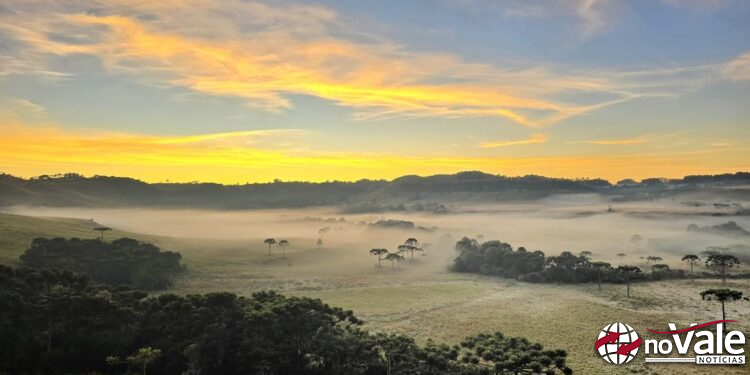 SC amanhece pelo 2º dia seguido com geada e temperatura chega a 0,6ºC