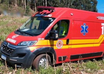 Trabalhador morre após ser atingido por eucalipto em plantação no interior de Tangará