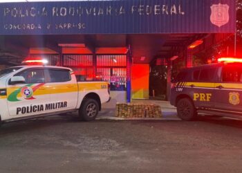 Mais de 200 quilos de maconha são apreendidos em Concórdia