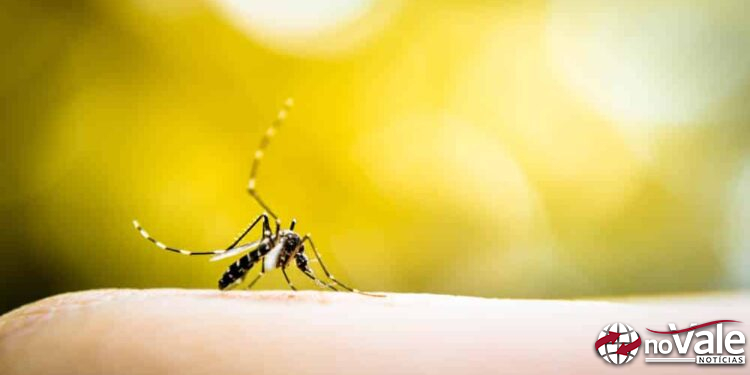 Sobe para 222 o número de pessoas contaminadas com Dengue em Capinzal