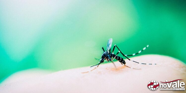 Casos de Dengue aumentam em Zortéa