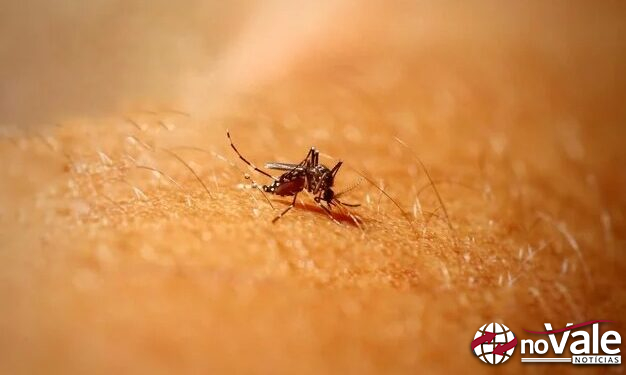 Capinzal chega a marca de 267 casos confirmados de Dengue