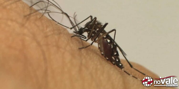 Capinzal e Ipira investigam caso suspeito de Chikungunya