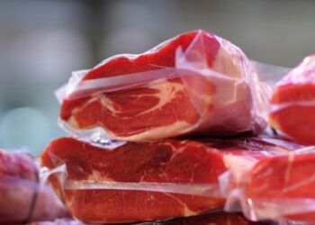 Santa Catarina alcança melhor desempenho do ano na exportação de carnes