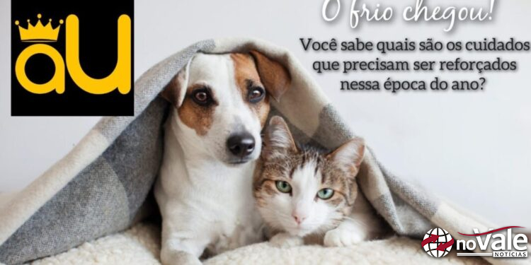 Voluntária da ONG Faunamiga orienta sobre cuidados com animais na chegada do frio