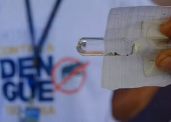 SC supera 150 mortes por dengue, mas mantém tendência de queda para novos casos