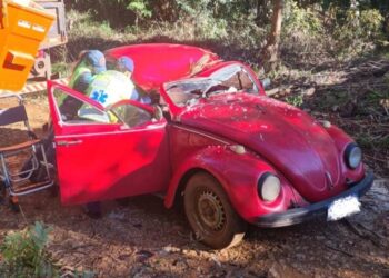 Queda de árvore em Fusca deixa feridos no interior de Ponte Serrada