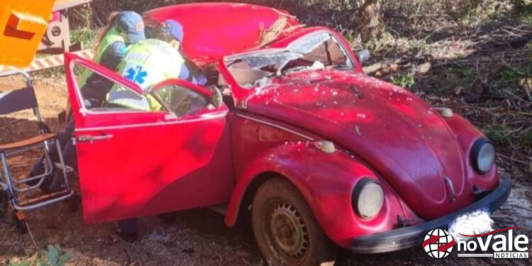 Queda de árvore em Fusca deixa feridos no interior de Ponte Serrada