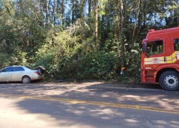 Automóvel ocupado por cinco pessoas sai da pista e colide contra árvore