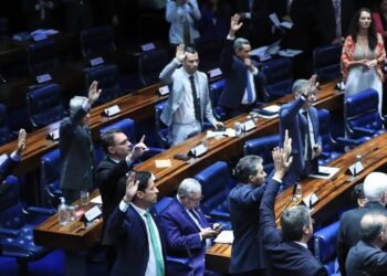 Senado aprova taxação de compras internacionais de até US$ 50