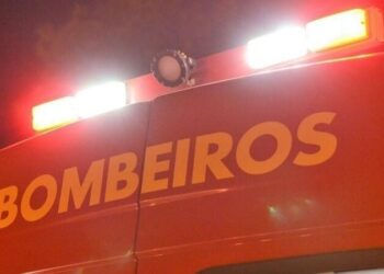 Cão fica com pata presa após ser atropelado por veículo nas proximidades da UNOESC