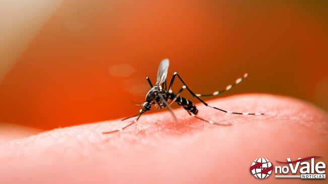 Capinzal registra 369 casos confirmados de Dengue; Ouro contabiliza 51