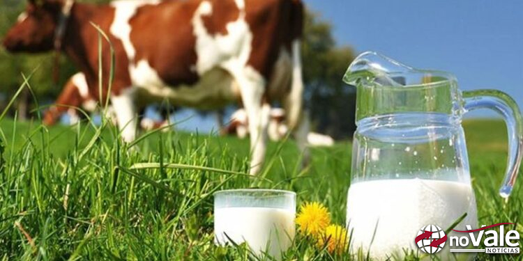 Dia Internacional do Leite celebra e reconhece a dedicação dos produtores