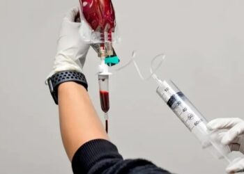 Dia do Doador de Sangue: quem pode doar e como funciona?