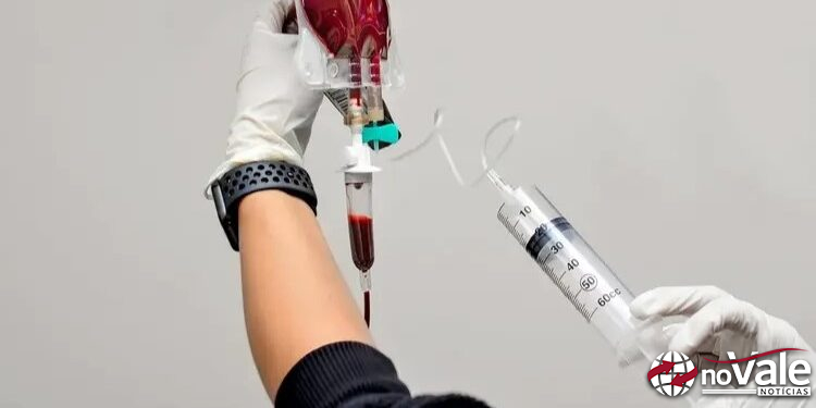 Dia do Doador de Sangue: quem pode doar e como funciona?