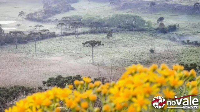 Massa de ar polar traz queda drástica nas temperaturas e pode causar geada em SC