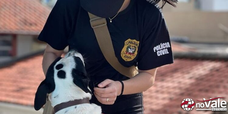 Polícia Civil lança portal para adoção de animais resgatados e vítimas de maus-tratos