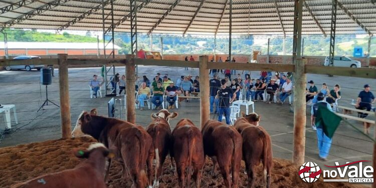 Sindicato Rural de Capinzal promove 9º Leilão de Gado Geral em Zortéa