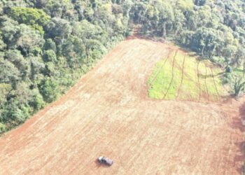 Polícia Militar Ambiental flagra desmatamento de vegetação nativa em Jaborá