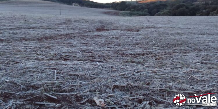 Amanhecer gelado em Santa Catarina registra menor temperatura do ano