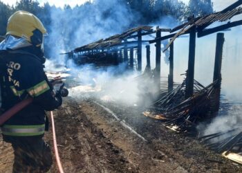 Incêndio atinge depósito de madeira em Santa Cecília