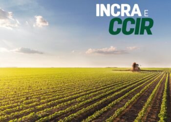 Prazo para emissão do CCIR vai até 18 de julho