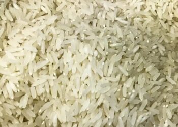 Polícia Federal abre investigação sobre leilão de arroz