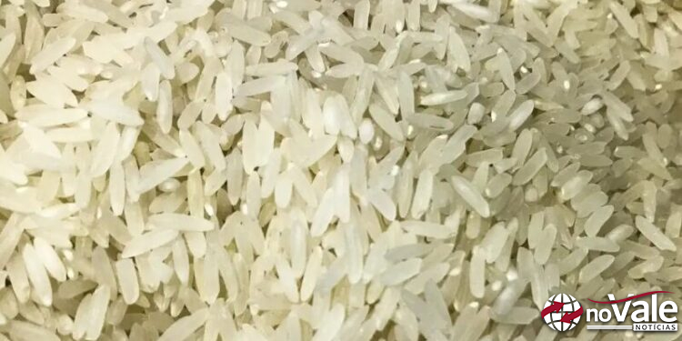 Polícia Federal abre investigação sobre leilão de arroz